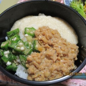 ネバネバ3種盛り★ 長芋 オクラ 納豆
